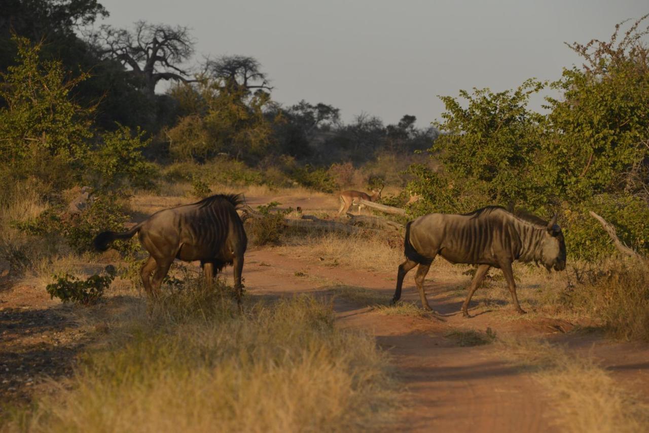 Iphofolo Lodge & Tented Camp Vivo Esterno foto