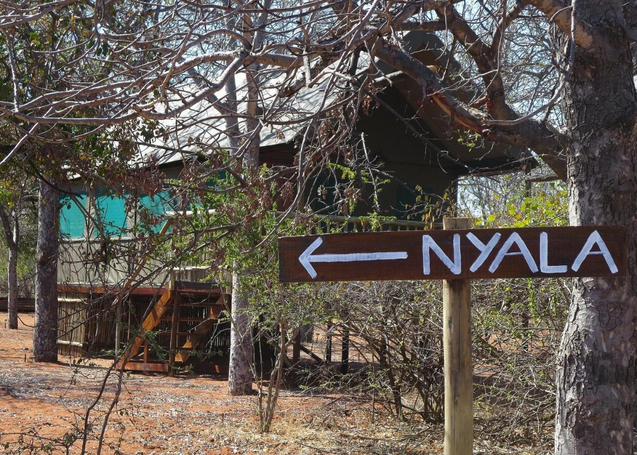 Iphofolo Lodge & Tented Camp Vivo Esterno foto