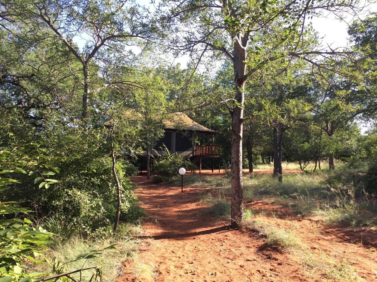 Iphofolo Lodge & Tented Camp Vivo Esterno foto